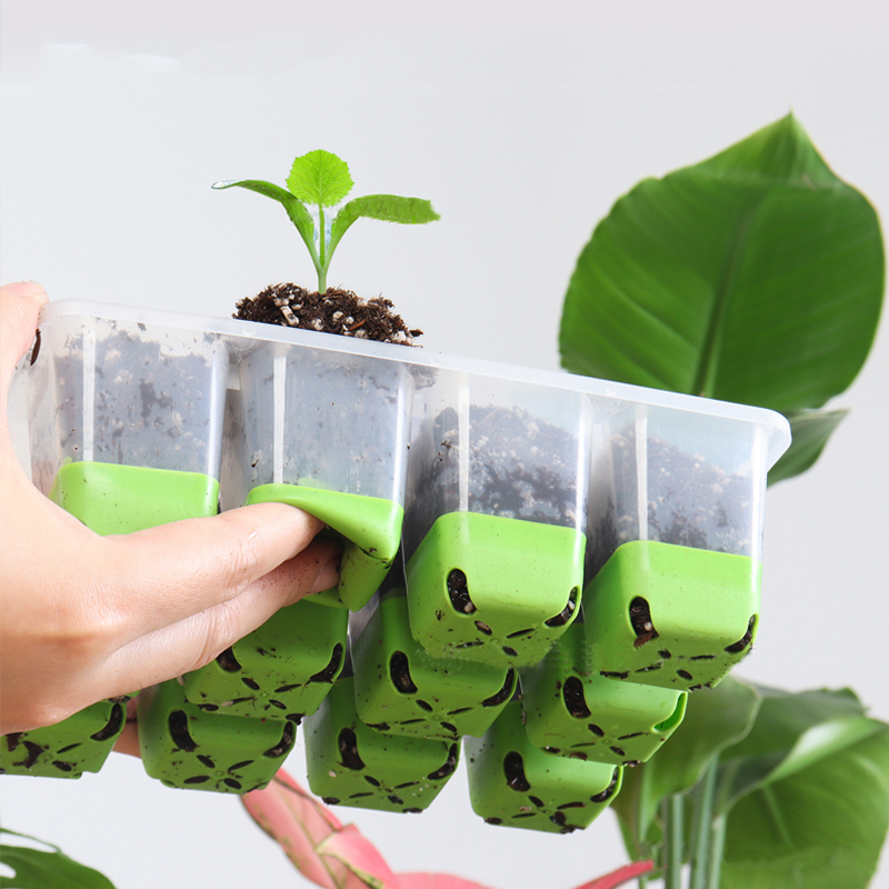 Vacuum Forming Silicone 12-Hole Seed Starting Trays with High Lid Nursery Planting Box Reusable Hole Gardening Germination Seeding Tray