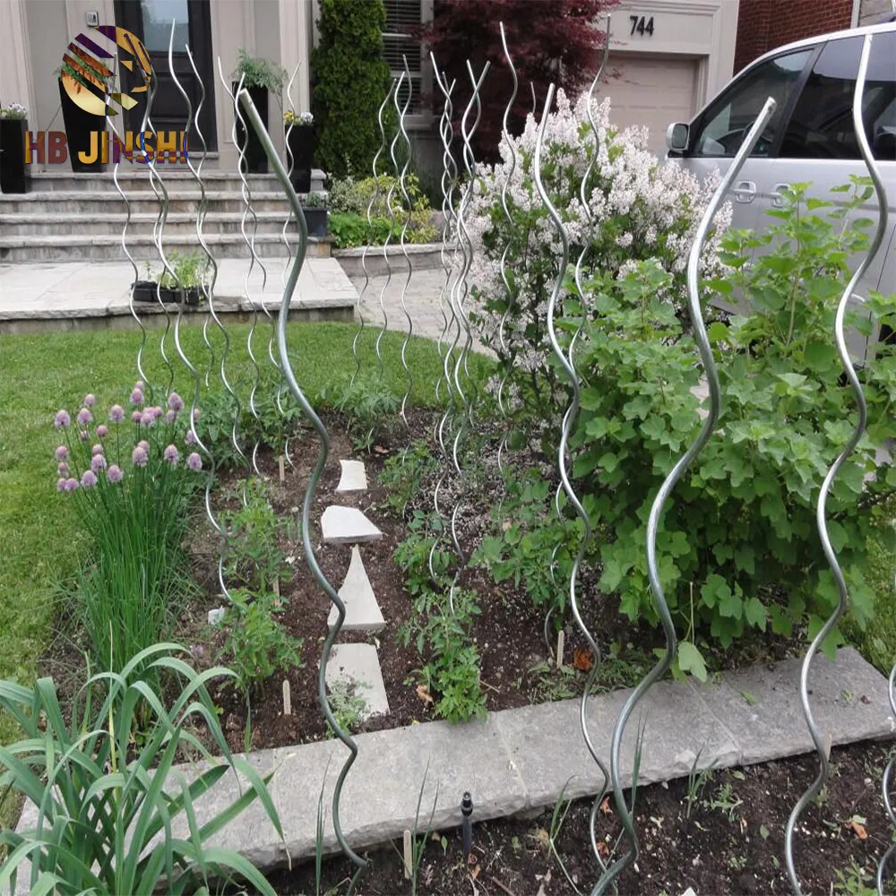 Tomato Spiral Plant Support