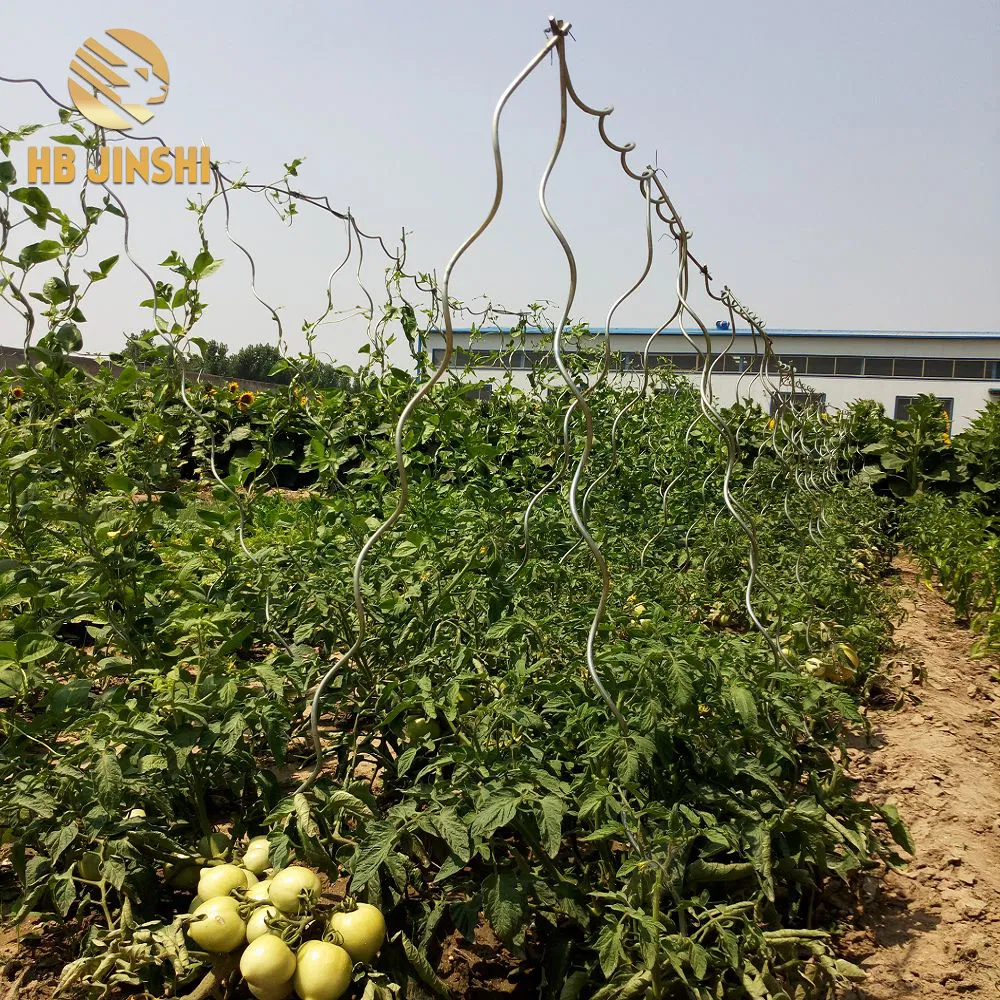 Heavy-Duty 6.0mm Galvanized Steel Tomato Support Rod 150cm