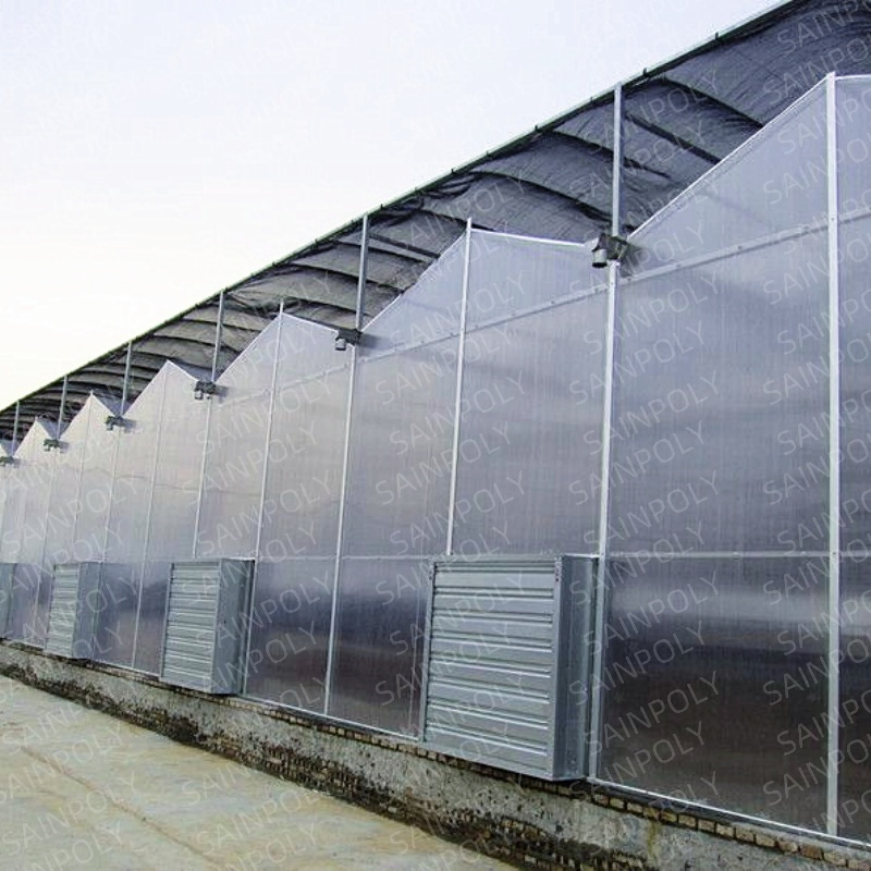 Greenhouse with Irrigation Systemmanufacturer Covered with Polycarbonate Sheet