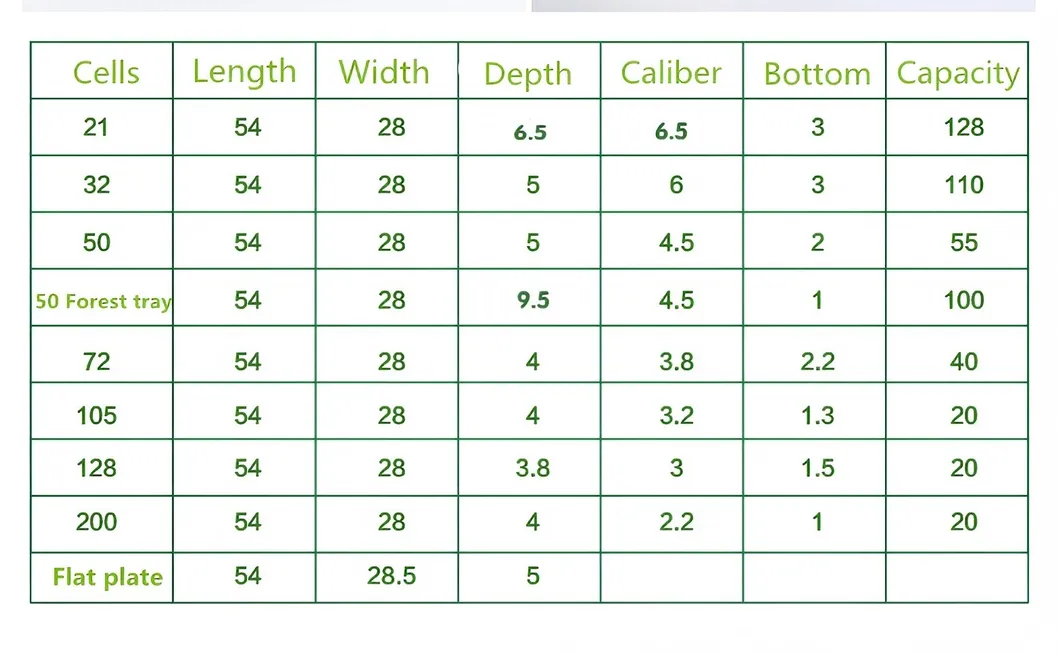 Seedling Tray View 4