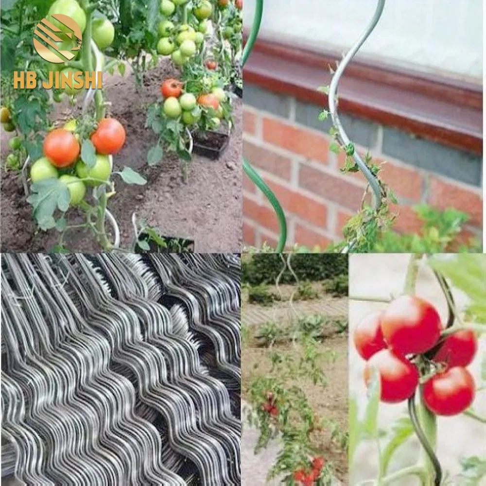 Heavy-Duty 6.0mm Galvanized Steel Tomato Support Rod 150cm