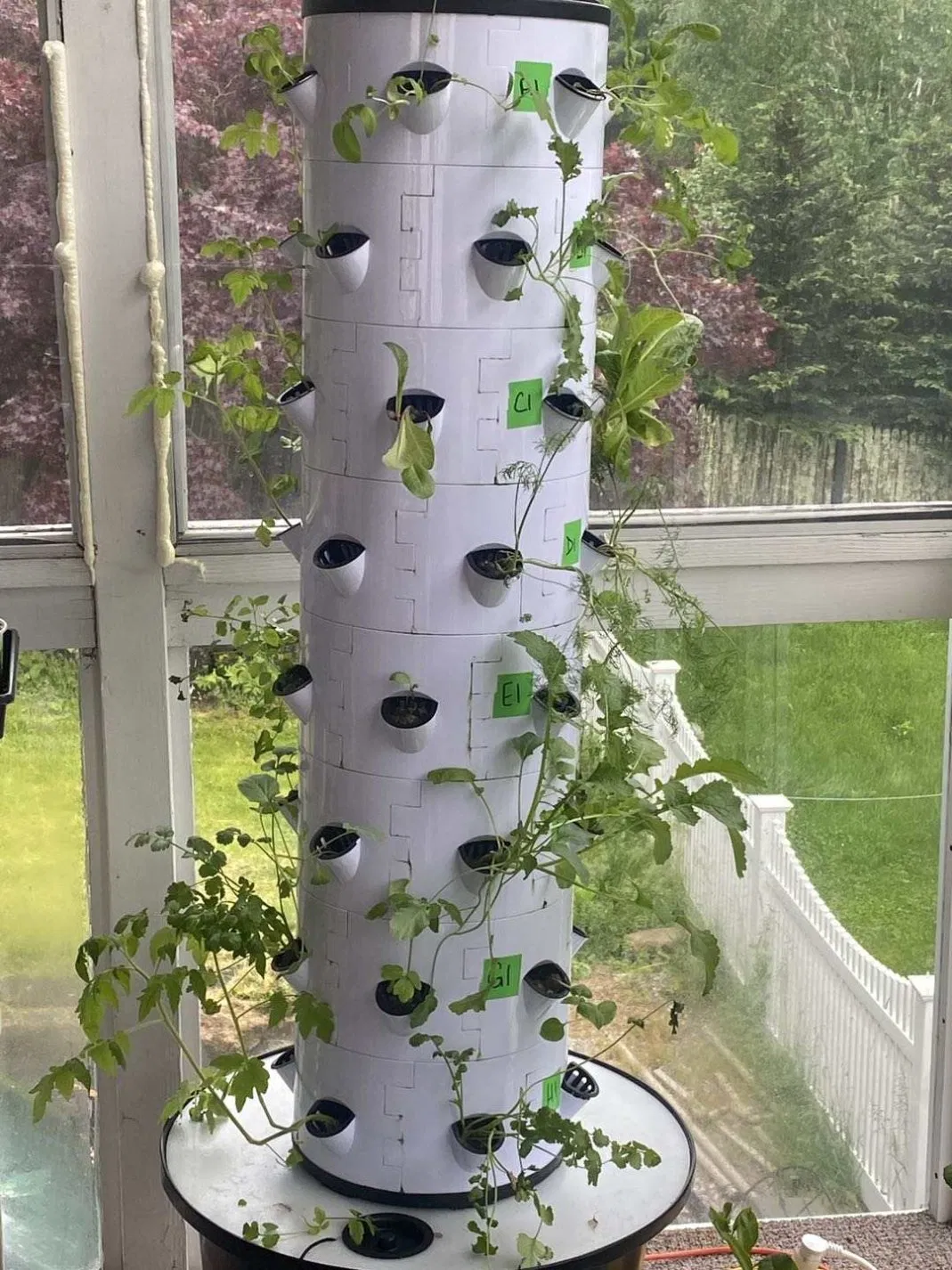 Hydroponic Grow Kit with Film Greenhouse Compatibility and Water Saving Design