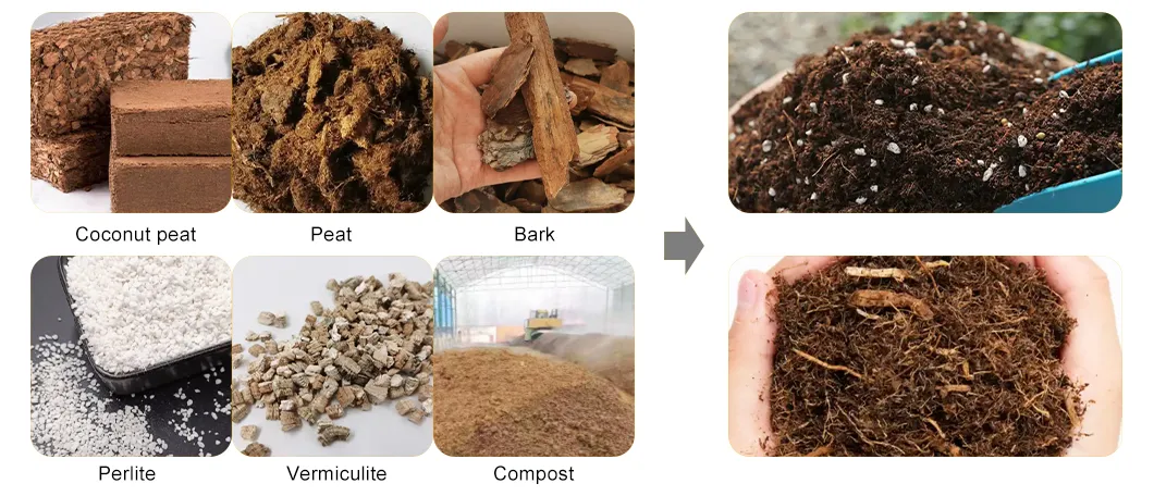 Production Line Details