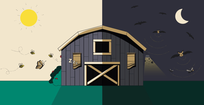 Outdoor Garden Yard Wooden Bat House for Mosquito Pest Control (se)