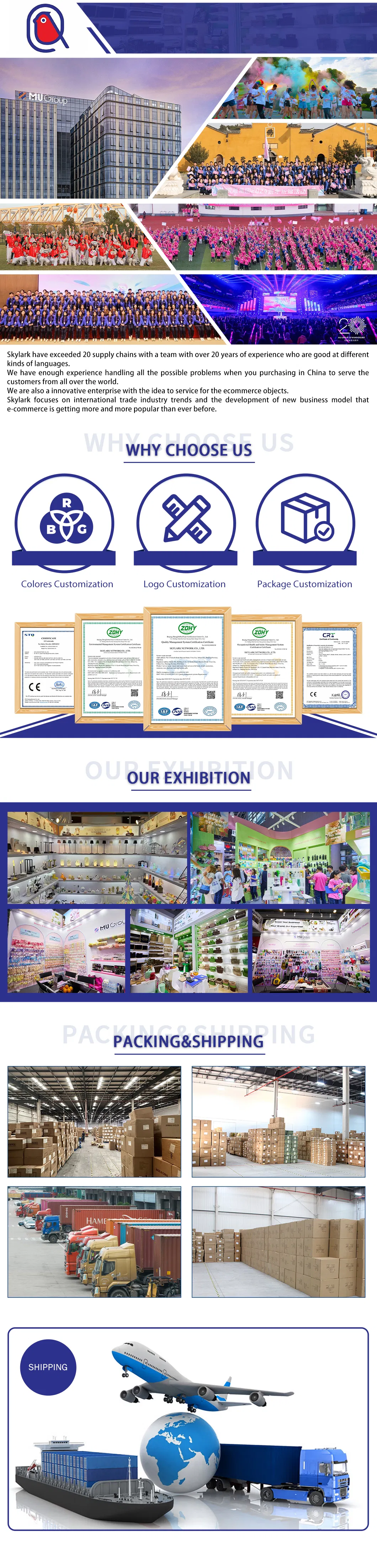 Professional Supply Chain