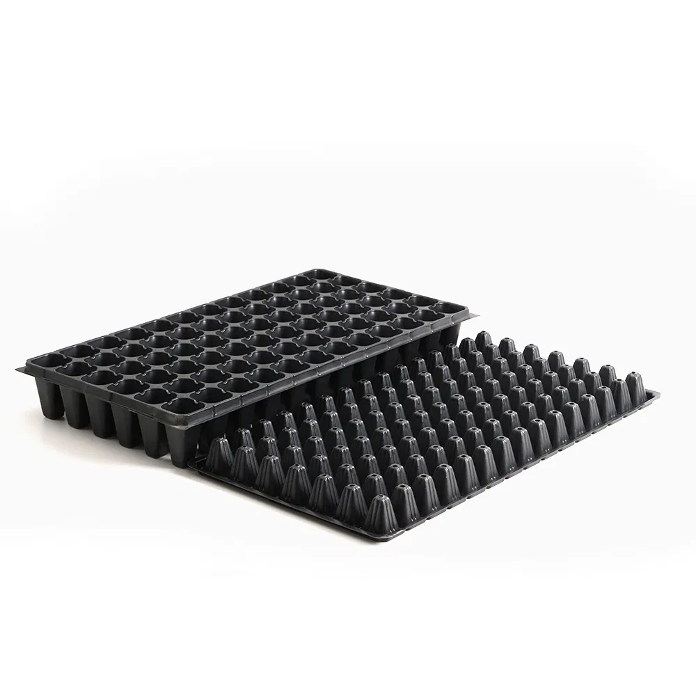Seedling Tray Photo 1