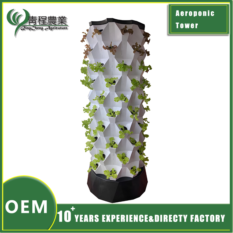 Urban Hydroponic Pineapple Growing Kit for Indoor Gardens