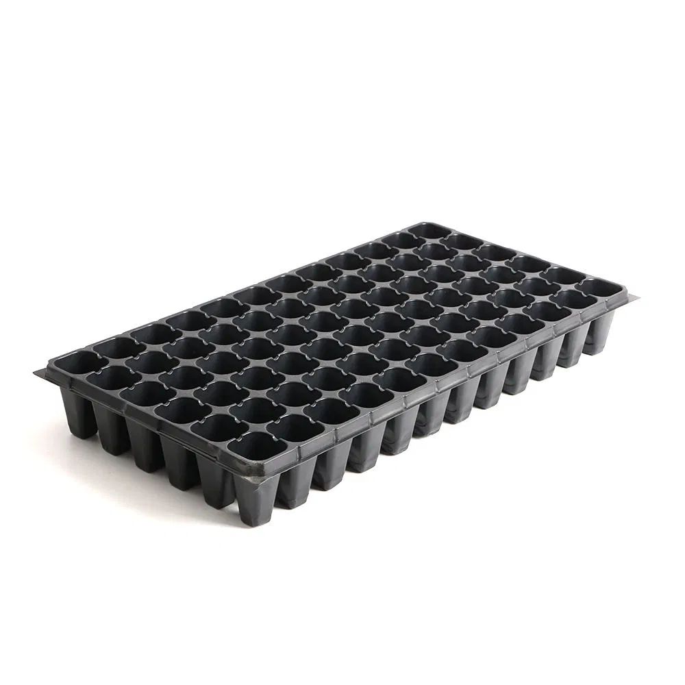 Seedling Tray Photo 2