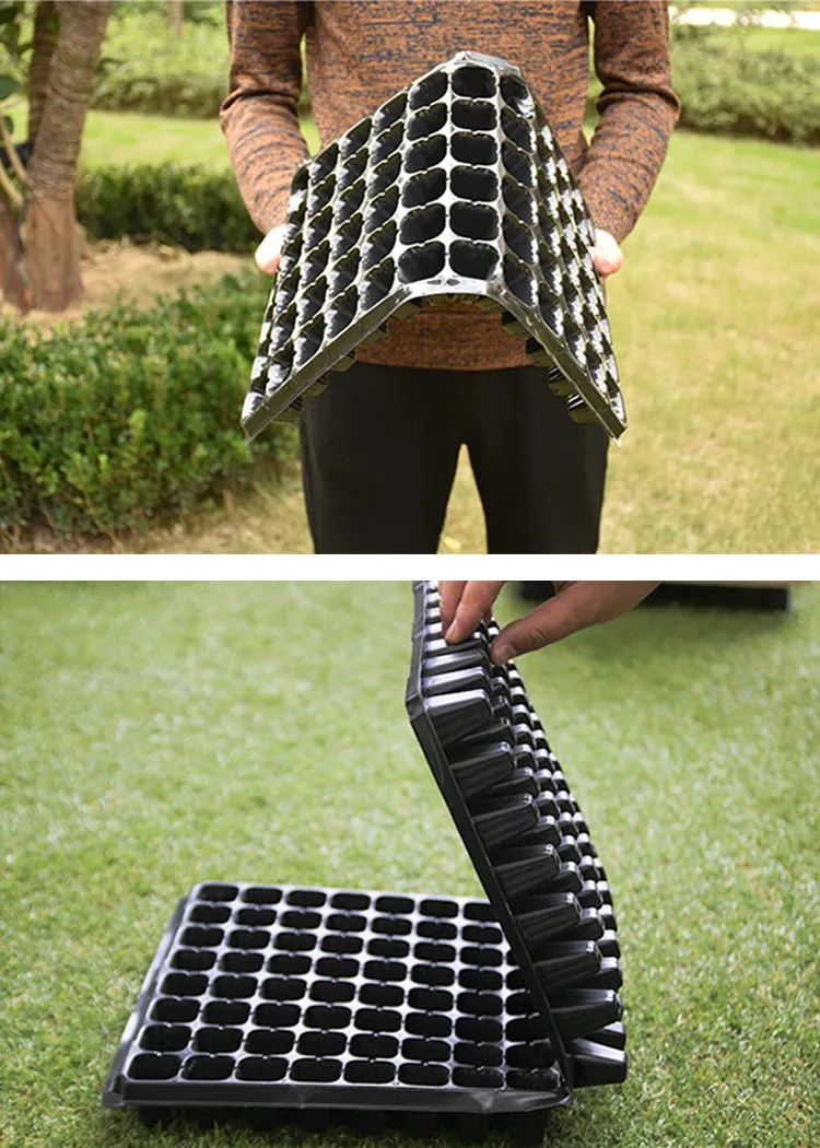 Seedling Tray Detail 11