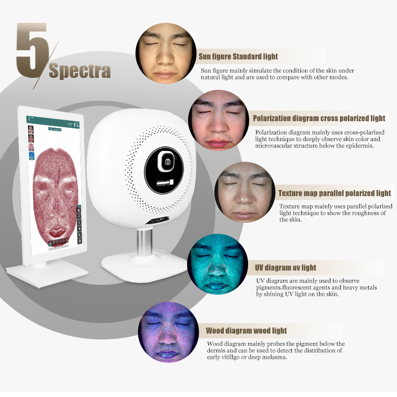 High Quality Portable Facial Analysis Skin Monitor Analyzer Tester 3D Digital Skin Analyzer Machine