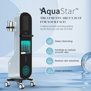 Aqua Star Beauty Equipment Microdermabrasion Massager Skin Ice Hammer OEM ODM 10 In 1 Hydra Oxygen Skin Care Facial Machine