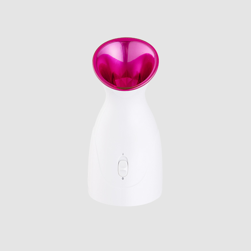 Beauty Ionic Facial Steamer Professional Face Steam Machine
