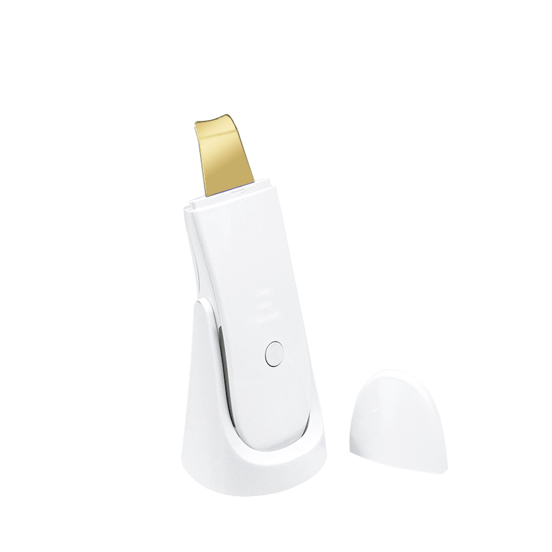 2021 New Arrival Hot Selling Facial Ultrasonic Skin Scrubber Beauty Machine With Spray Container