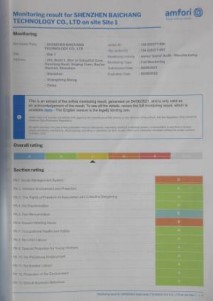BSCI Record