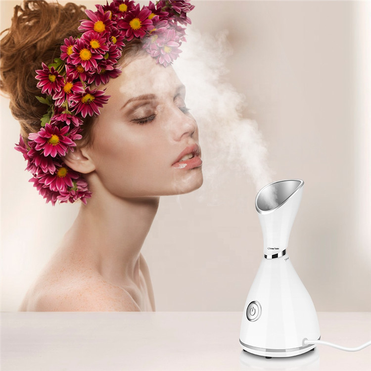 Electric Custom Professional Facial Spa Steamer Nano Beauty Equipment Vaporizer Set Mini Portable Face Steamer for Face