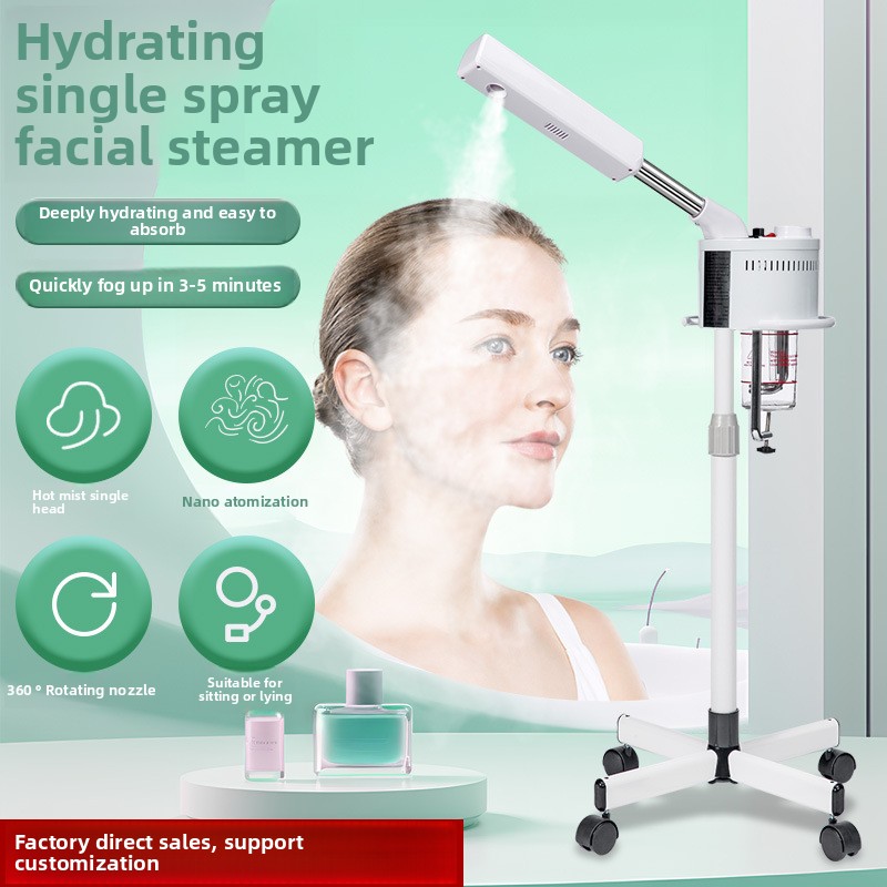 Wholesale Professional Hot Ozone Ionic Facial Steamer Nano Spray Skin Moisturizing Vaporizer Electric Beauty Machine for Home