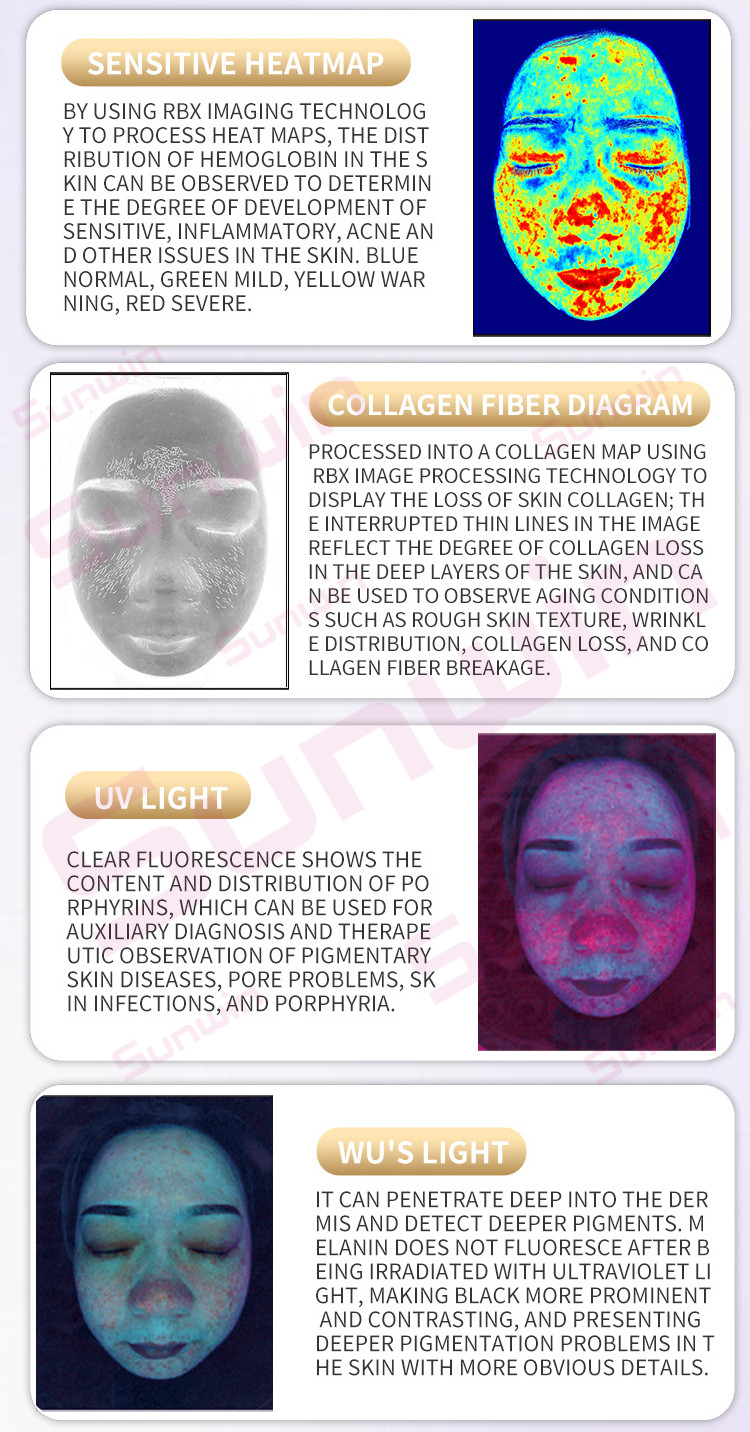 Skin Diagnosis Interface