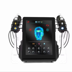 Professional Design Non-Invasive EMRF Desktop Peface RF Microcurrent Face Lifting Machine AU/US Compatibility for Beauty Salons