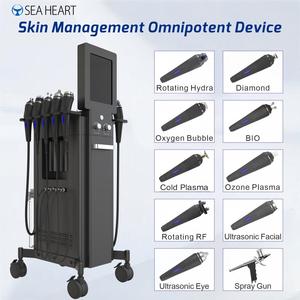Professional Hydrotherapy 10 in 1 Hydra Dermabrasion Device Skin Analysis Aesthetic Spa Oxygen Jet Peel Facial Machine