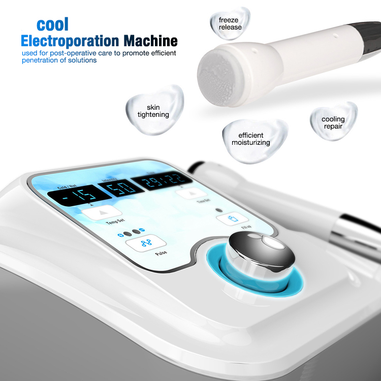 Home Use Facial Care D Cool Machine Cryo-Eletroporation CryoFace for Skin Rejuvenation Shrinking Pores