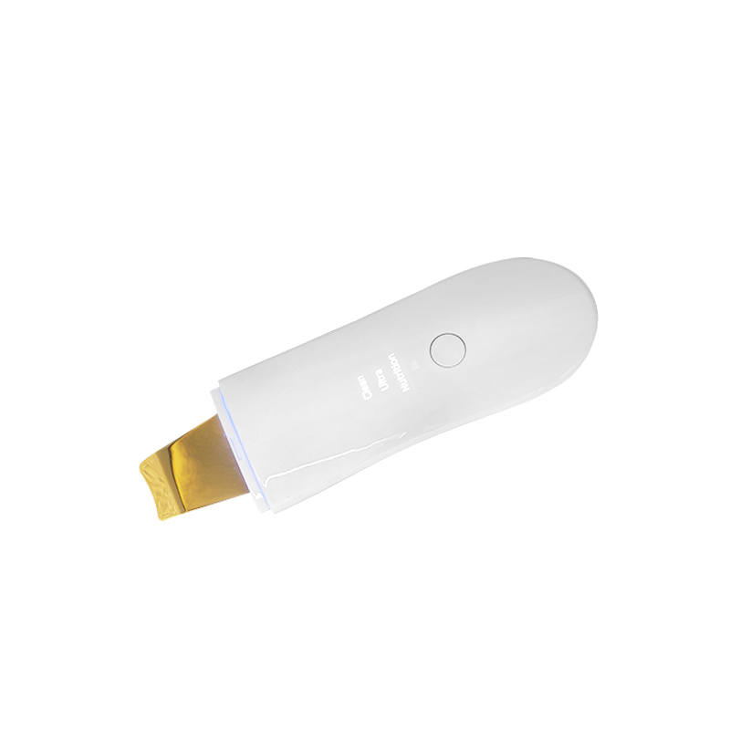 2021 New Arrival Hot Selling Facial Ultrasonic Skin Scrubber Beauty Machine With Spray Container