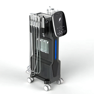 Lefis 10 In 1 Hydra Oxygeneo Facial Microdermabrasion Machine Aqua Oxygen Jet Peel Hydrodermabrasion Hydro Facial Machine