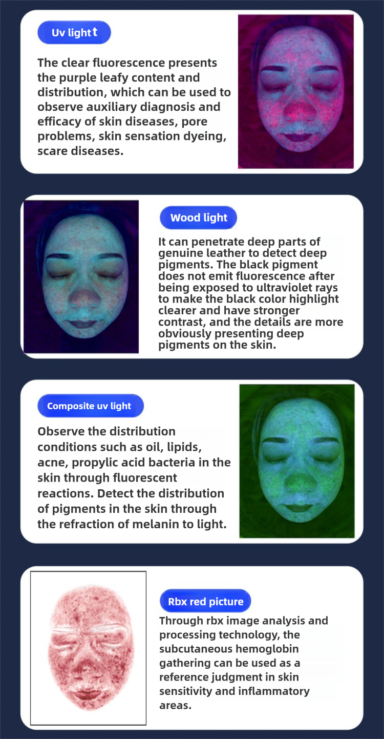 Skin Analyzer Detail 5