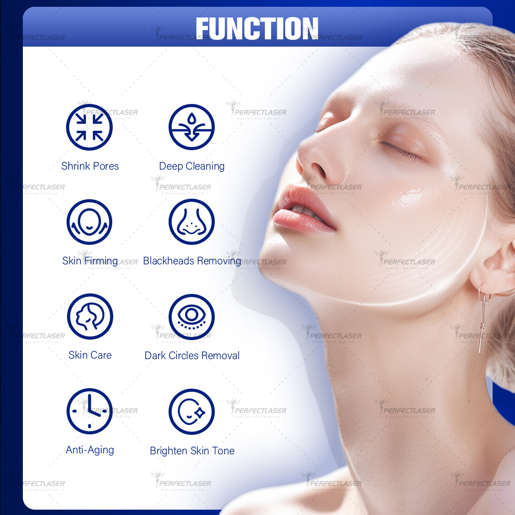 Newest Commercial Esthetician Salon 10 in 1 Hydrodermabrasion Aqua Peel Oxygen Jet Hydra Beauty Facial Machine for Home Use
