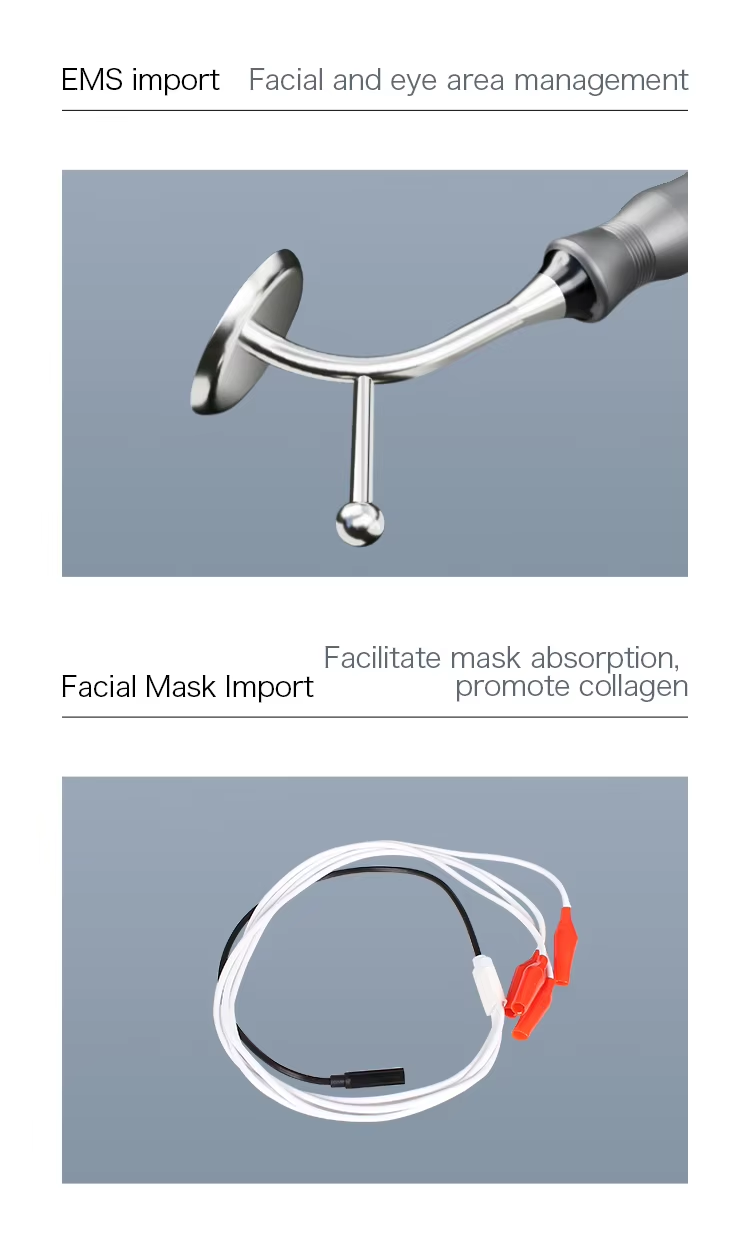 EMS & Mask Import