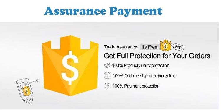 Payment Safety Verification