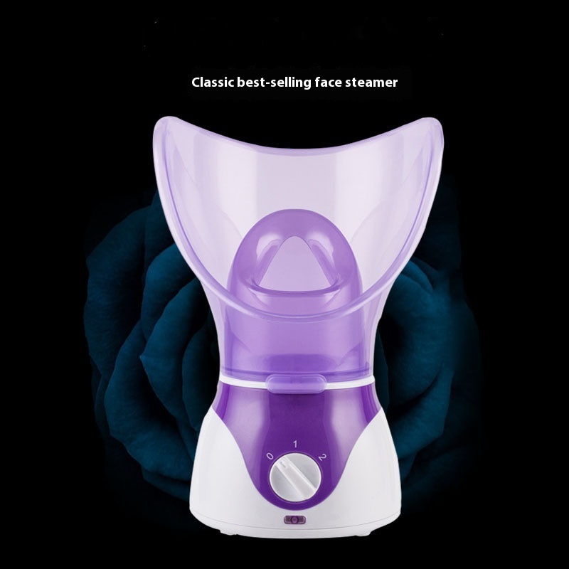 Electric Face Steamer Aromatherapy Spray Machine Hydrating Hot Nose Inhaler Household Use New Manufacturer Electric Face Steamer