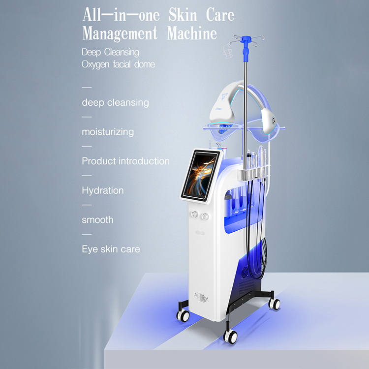 Oem Wholesale All in One Facial Machine Multifunction Face Deep Clean Facial Beauty Machine
