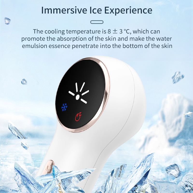 Yanxer Cryo Therapy Skin Rejuvenation Machine Heating Cooling EMS Electroporation Cryo Facial Beauty Device