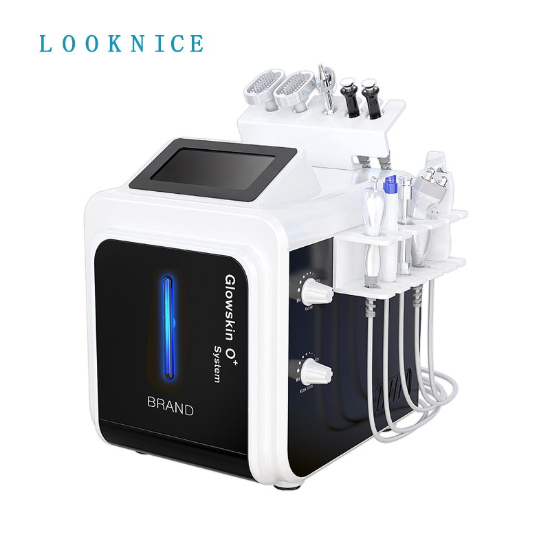 Portable 10 in 1 Multifunction Skin Care Facial Beauty Equipment Hydra Vacuum Facial Blackhead Remover Skin Scrubber