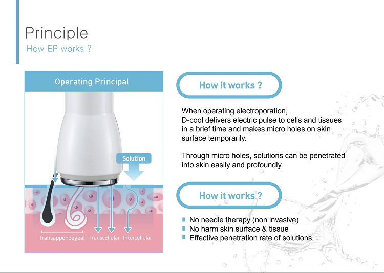 Product detail image 3