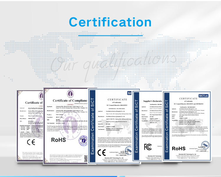 CE RoHS Certification