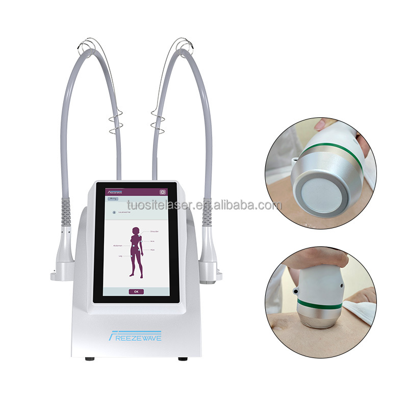 Professional Facial Tightening and Sculpting Cryolipolysis Slimming Machine Cryotherapy Beauty Instrument