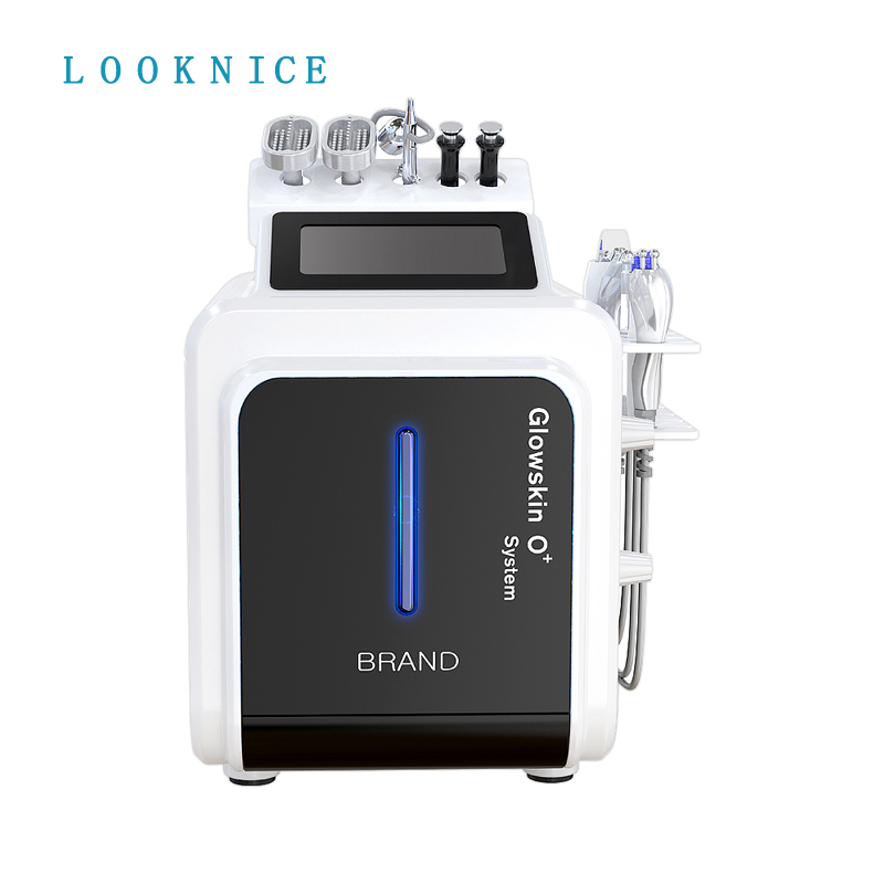 Portable 10 in 1 Multifunction Skin Care Facial Beauty Equipment Hydra Vacuum Facial Blackhead Remover Skin Scrubber