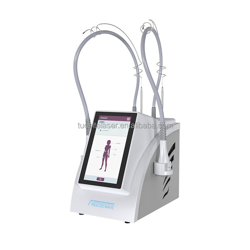 Professional Facial Tightening and Sculpting Cryolipolysis Slimming Machine Cryotherapy Beauty Instrument