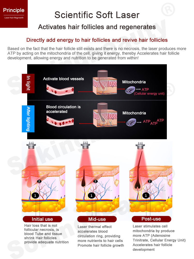2025 Multifunction Hair Follicle Stimulating Head Massage Hair Regrowth Treatment Scalp Analysis Machine