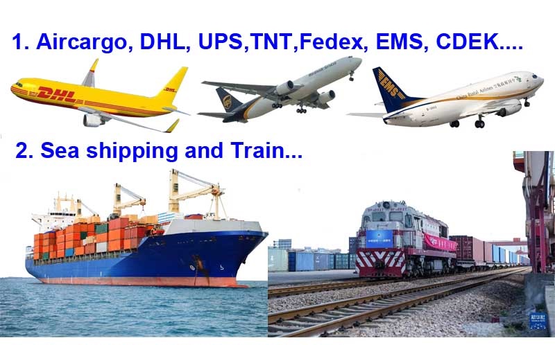 Shipping Information