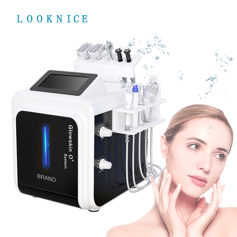 Portable 10 in 1 Multifunction Skin Care Facial Beauty Equipment Hydra Vacuum Facial Blackhead Remover Skin Scrubber