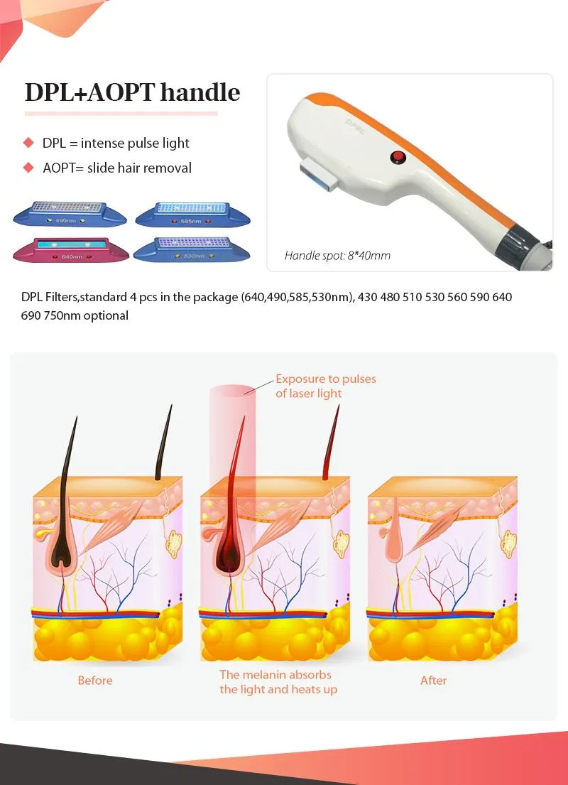 DPL Rejuvenation Detail 4