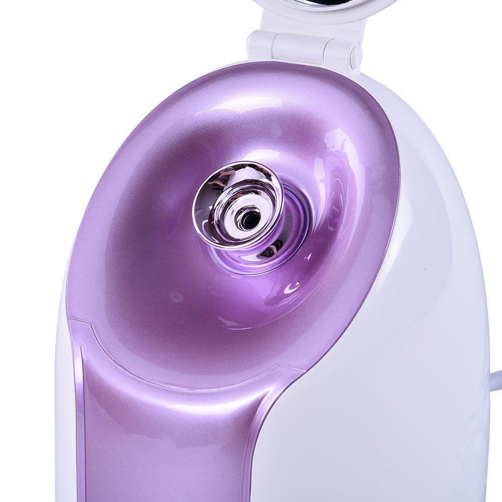 Mirror Equipped Face Steam Machine Vaporizado Facial Steamer with Fruits Vegetables and Aromatherapy Can Be Added