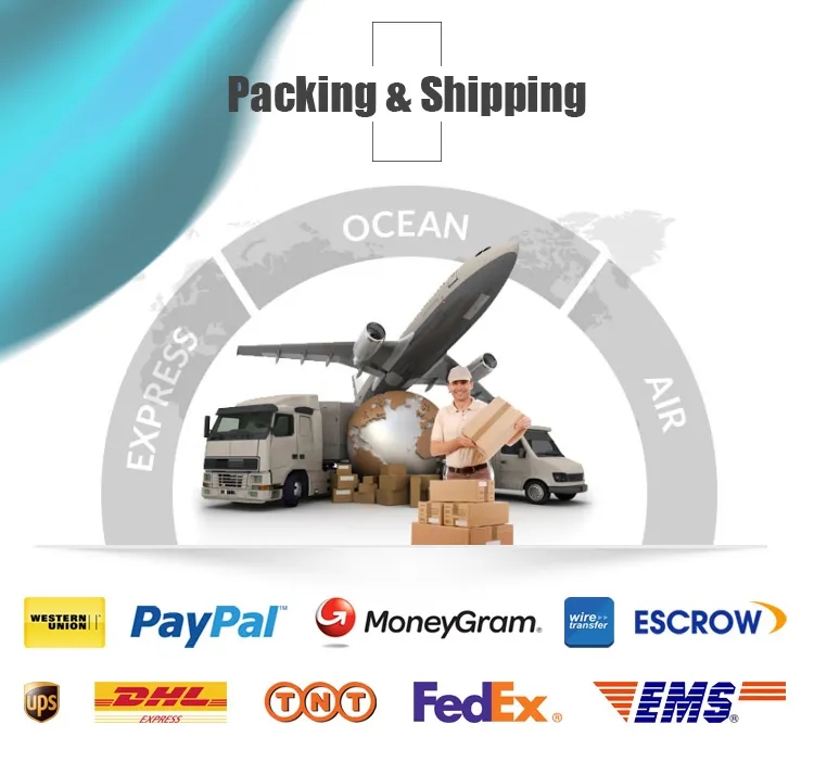 Our Services Image