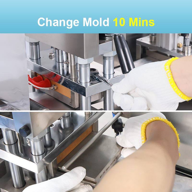 DPP-88 Electric Automatic Aluminum Plastic Tablet Blister Packing Machine For Pill Soft Gel Capsule Chemical Application