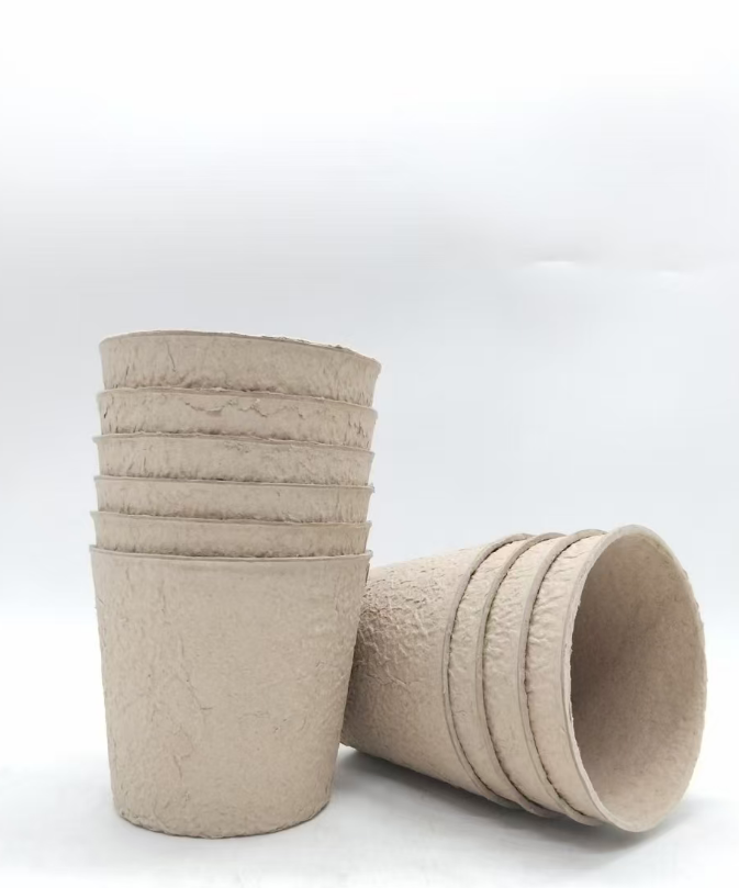 Eco-Friendly Recyclable Biodegradable Paper Cups and Boxes Set for Hot/Cold Drinks and Takeout Food Packaging