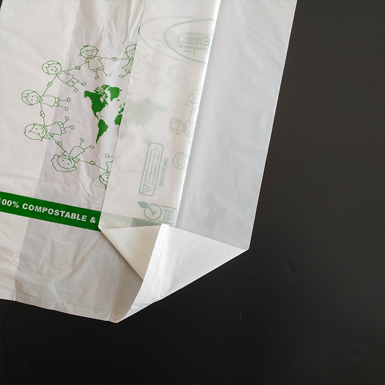 Custom Eco-Friendly 100% Biodegradable PLA Plastic Packaging T-Shirts EGP Compostable Shopping Bag Food Fruit Other Items Custom