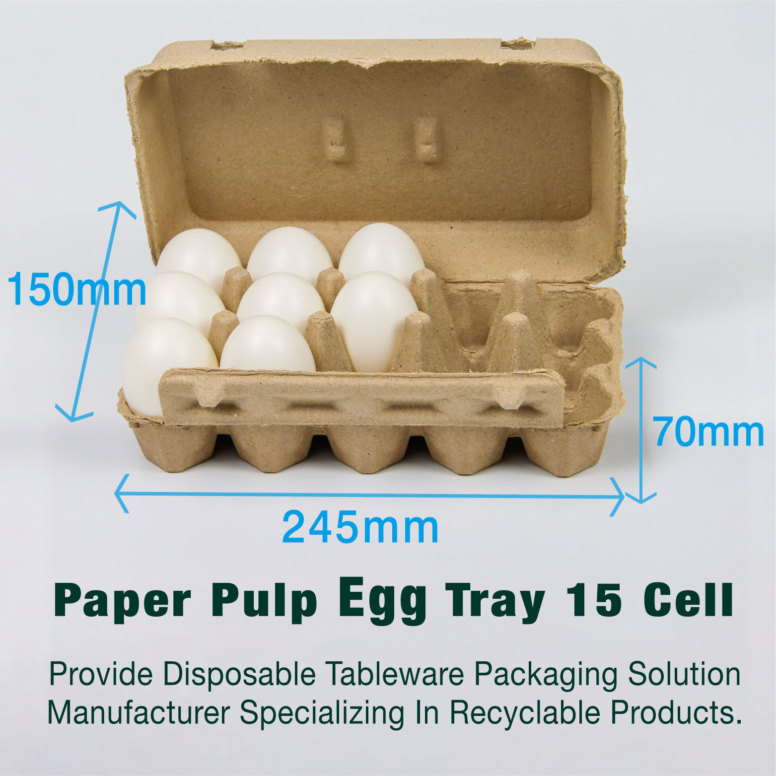 15-Hole Recyclable Biodegradable Pulp Egg Tray Paper Tray Biodegrad Packaging
